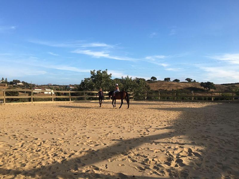 Monte Tons Da Terra - Countryhouse & Spa - Aktivite