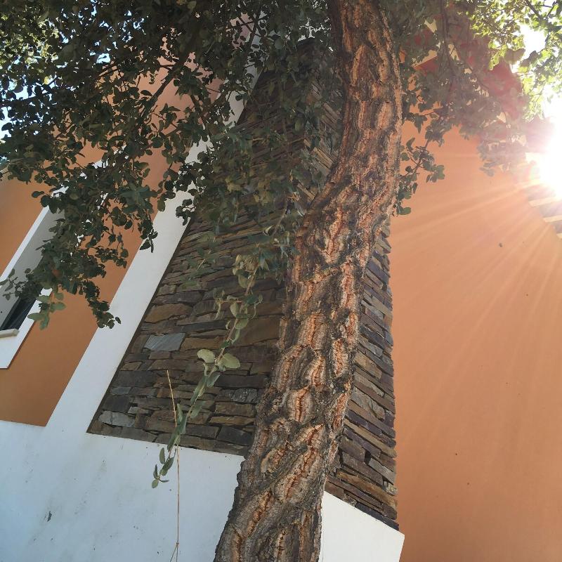 Monte Tons Da Terra - Countryhouse & Spa - Genel