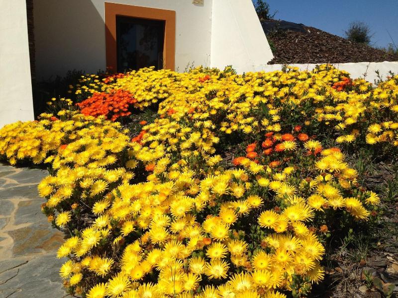 Monte Tons Da Terra - Countryhouse & Spa - Teras