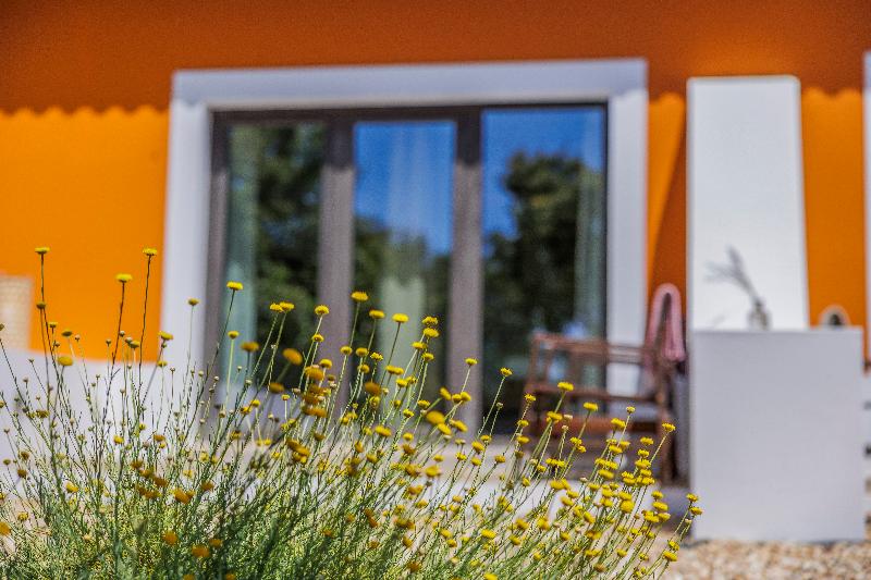 Monte Tons Da Terra - Countryhouse & Spa - Teras