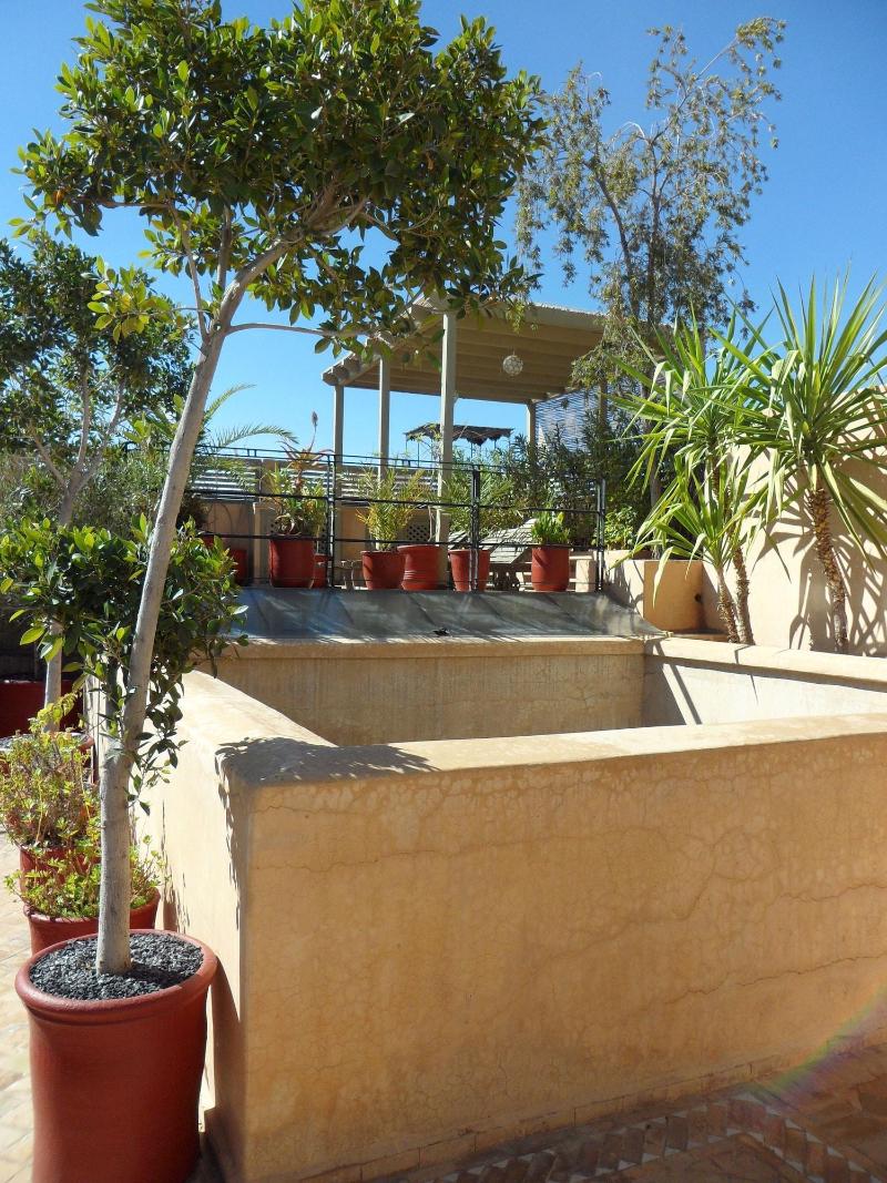 Riad Et Spa Misria Les Oliviers - Oda