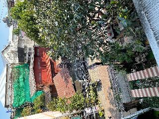 Bb House Budget & Boutique Hotel otel fotoğrafı