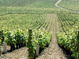 Ibis Styles Dijon Sud