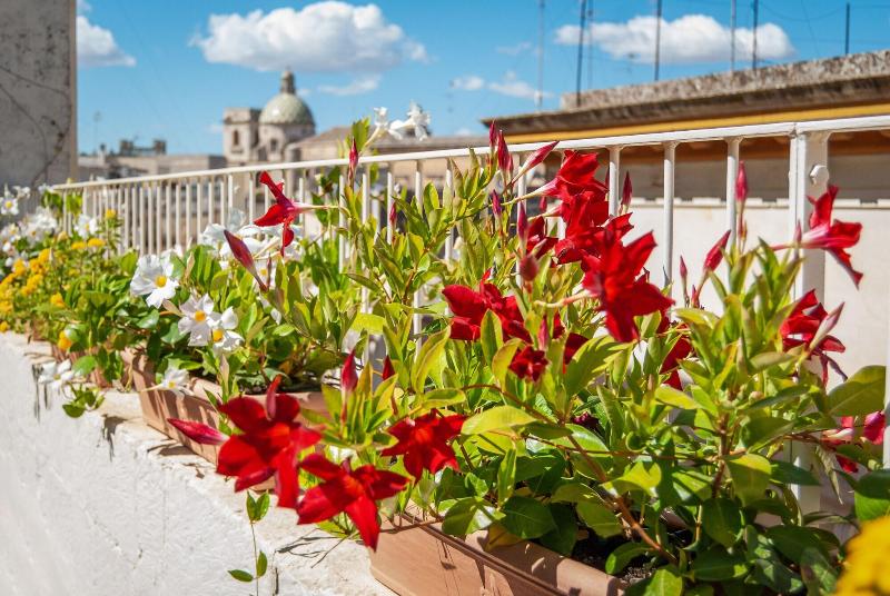 Il Garbino Suite And Apartment - Oda