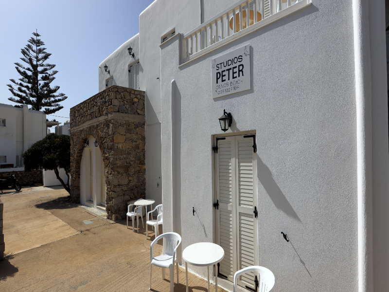 Peter's Studios - Lobi