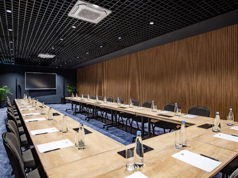 Ibis Tbilisi Havaalanı - Toplantı