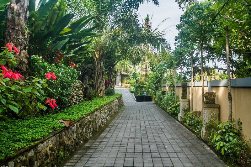 Wedacita Resort And Spa - Genel
