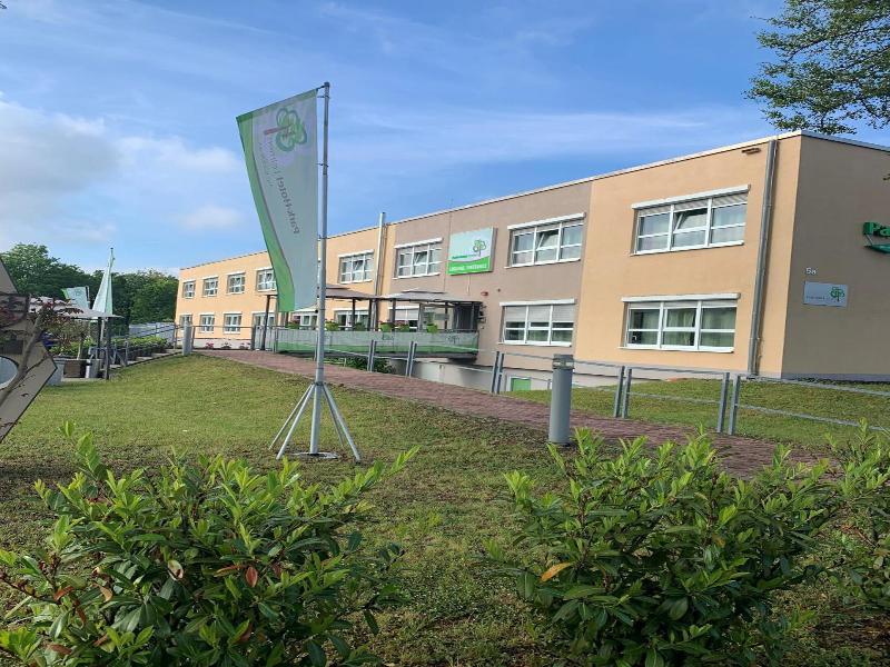 Park Hotel Leimen - Oda