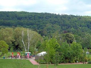 Park Hotel Leimen fotoÄŸrafÄ±