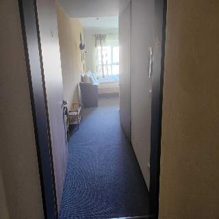 Park Hotel Leimen fotoÄŸrafÄ±