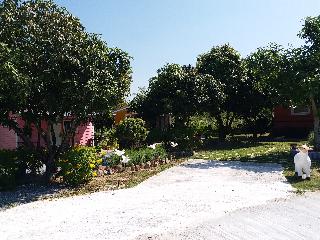 Baan Hin Sai Suay By Zuzu otel fotoğrafı