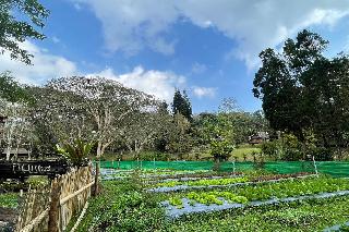 Phu Ing Fah Resort fotoÄŸrafÄ±