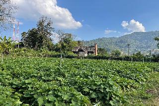 Phu Ing Fah Resort fotoÄŸrafÄ±