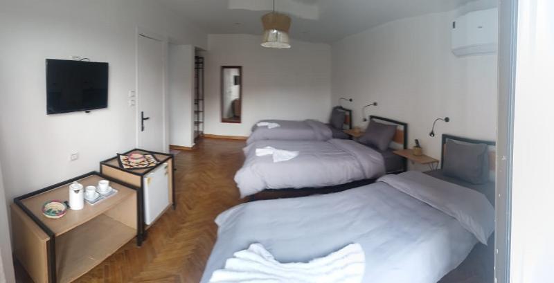 Pyramids Nights Hostel - Genel
