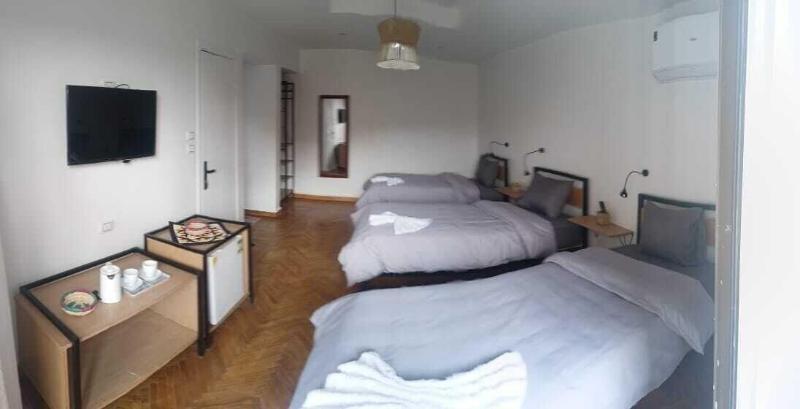 Pyramids Nights Hostel - Oda