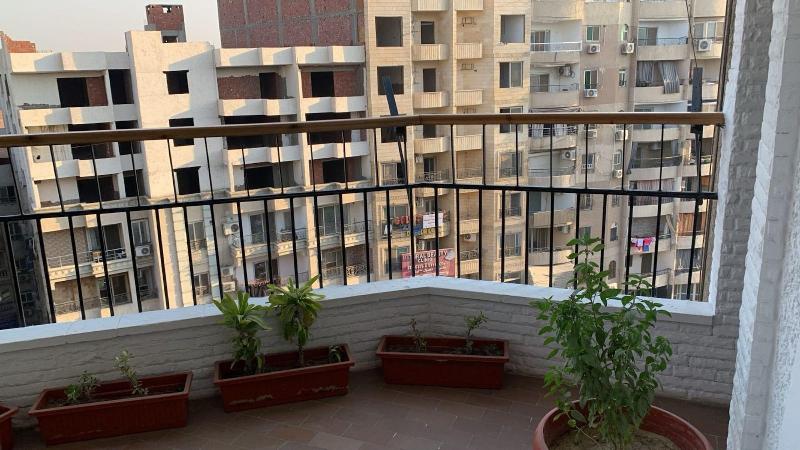 Pyramids Nights Hostel - Oda