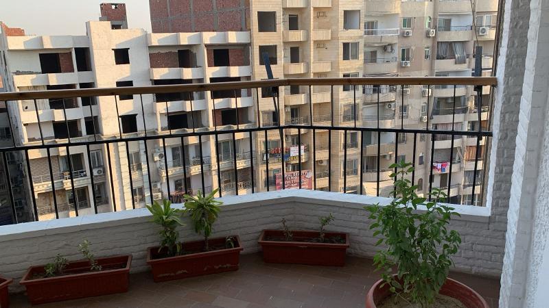Pyramids Nights Hostel - Teras