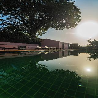 Solar Dos Cantos Botanic House And Garden fotoÄŸrafÄ±