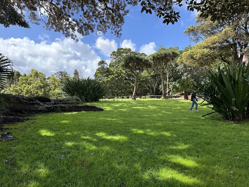Solar Dos Cantos Botanic House And Garden - Genel