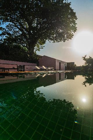 Solar Dos Cantos Botanic House And Garden fotoÄŸrafÄ±