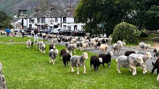 The Strands & Screes Inn fotoÄŸrafÄ±