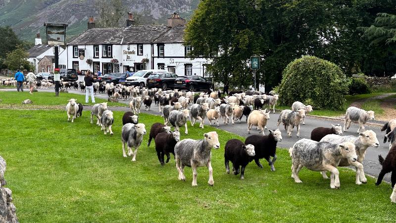 The Strands & Screes Inn - Genel