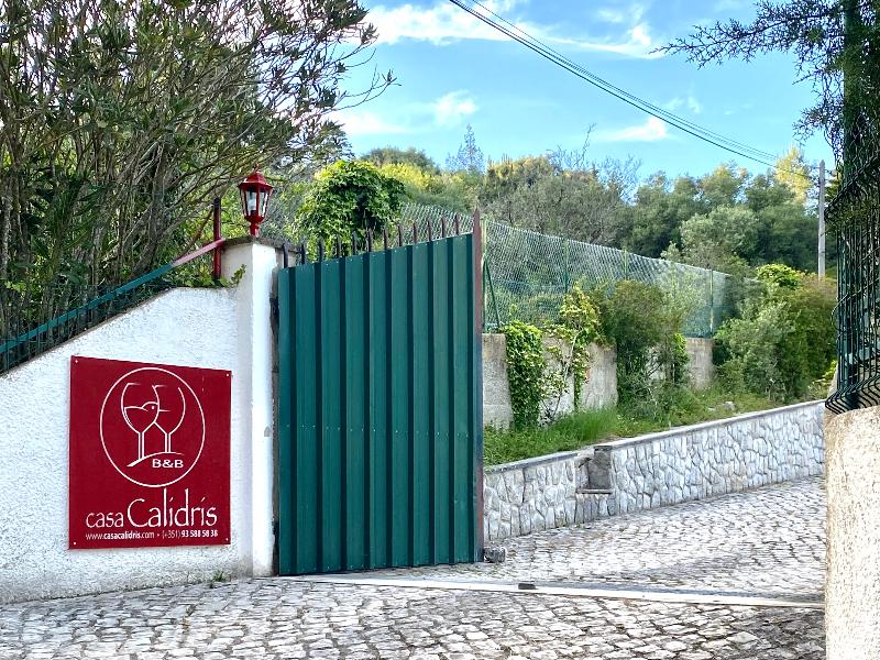 Casa Calidris - Teras