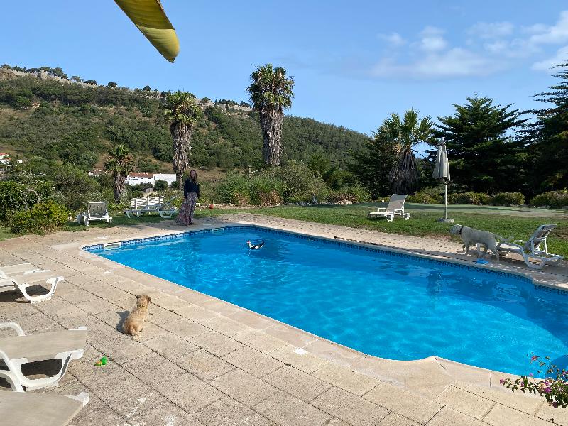 Casa Calidris - Teras