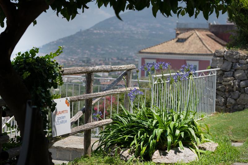 Relais Manfredi - Havuz