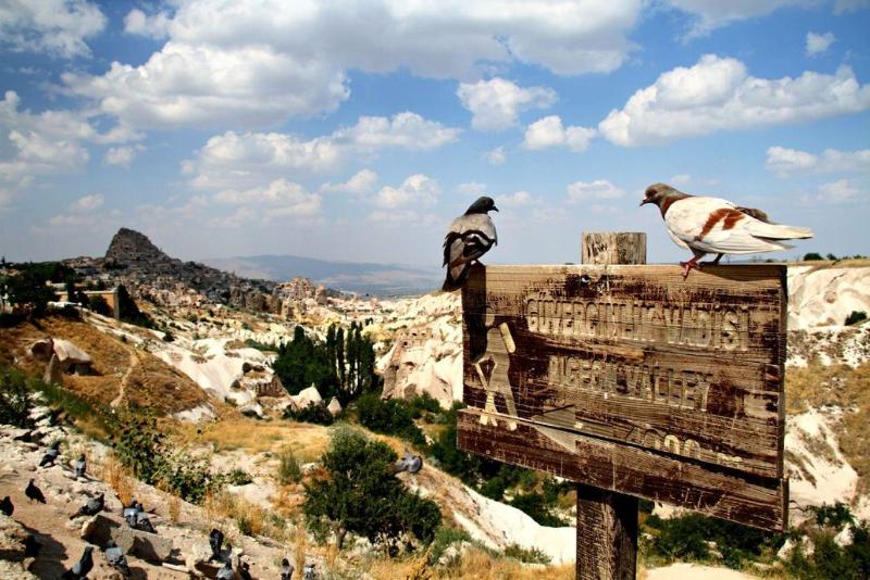 Cappadocia Divin House - Genel