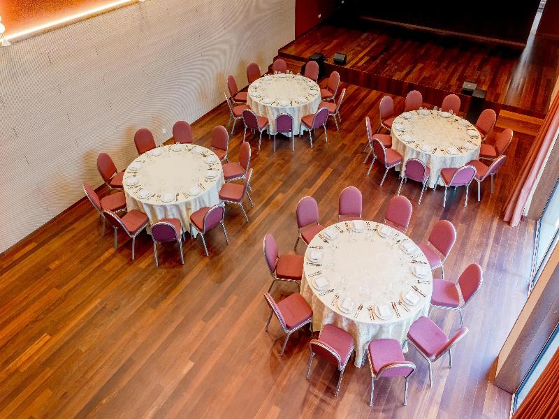 Cenica Porto Hotel, Curio Collection By Hilton - Toplantı