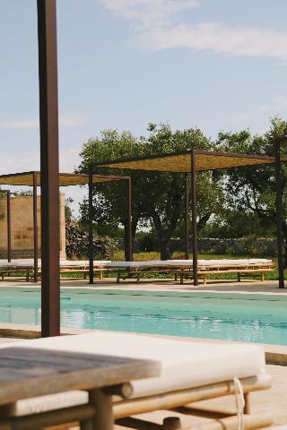 Secolario Masseria Del Viverbene fotoÄŸrafÄ±