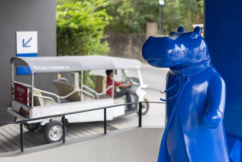 Blue Hippo Hotel - Genel