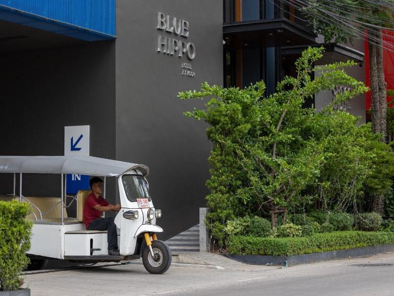 Blue Hippo Hotel - Genel