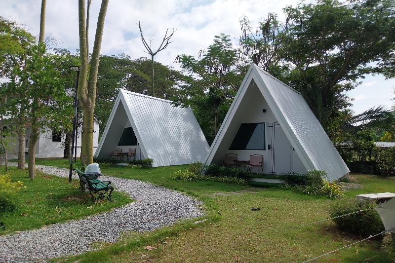 It My Life Cafe X Camp - Genel