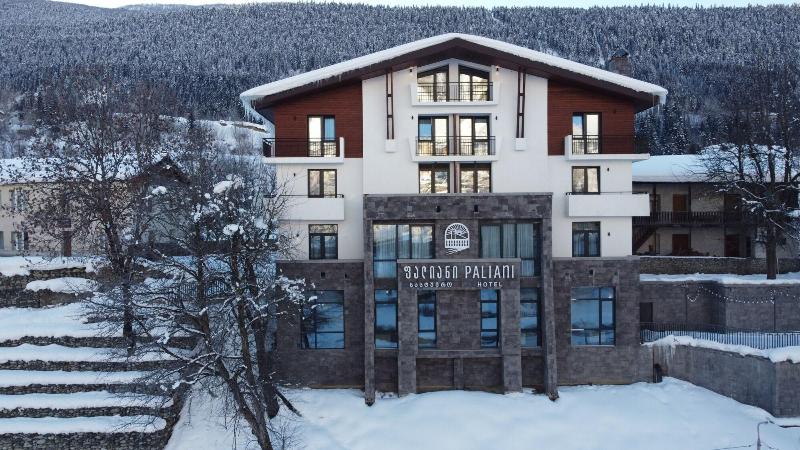 Paliani Hotel - Genel