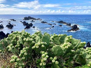 Mercure Ponta Delgada Azores (Abertura No Início D fotoÄŸrafÄ±