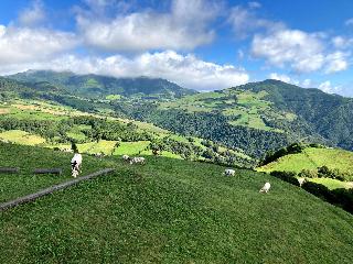 Mercure Ponta Delgada Azores (Abertura No Início D fotoÄŸrafÄ±