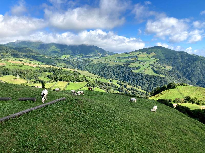 Mercure Ponta Delgada Azores (Abertura No Início D - Aktivite