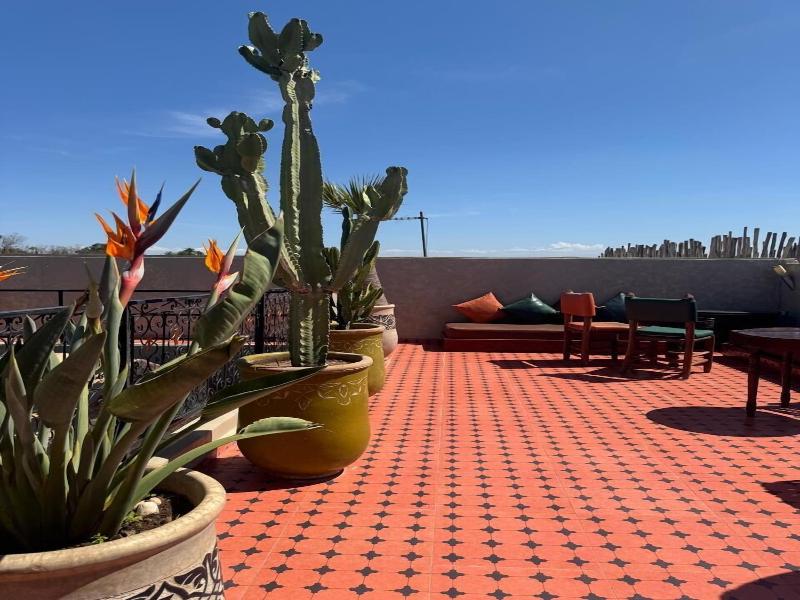 Riad Rodaina - Teras