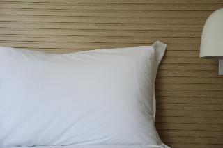 Ajuda Palace Inn fotoÄŸrafÄ±