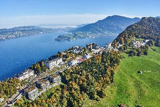 Burgenstock Hotel & Alpine Spa otel fotoğrafı
