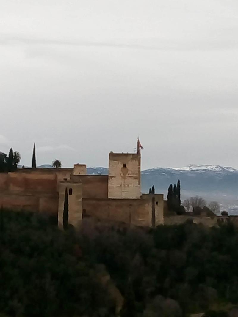 B&b Casa Flamenca De Granada - Genel