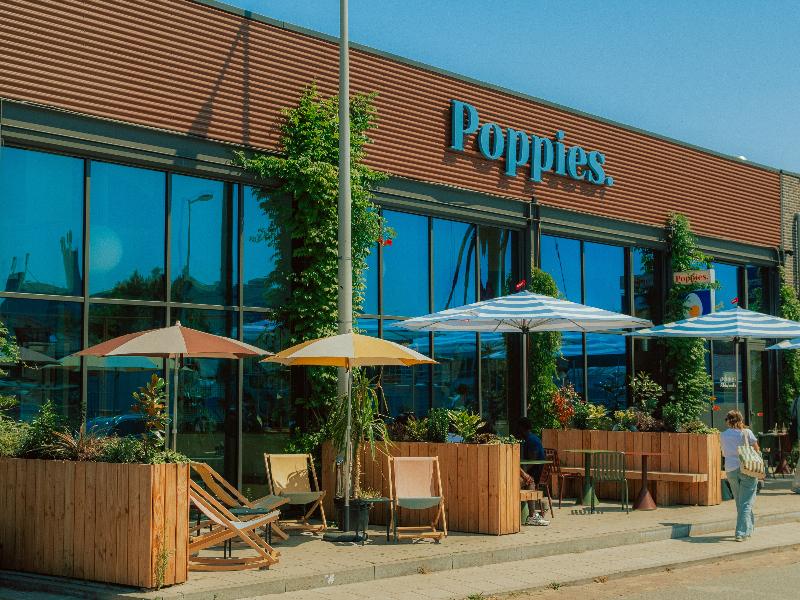 Poppies - Genel