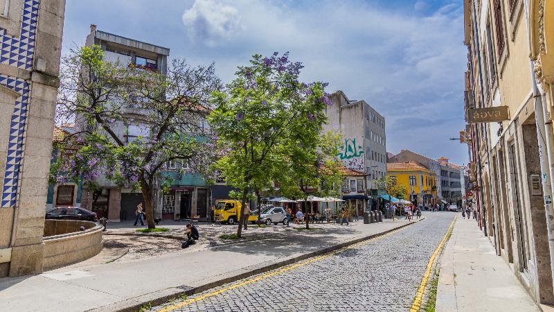Invictus Hostel - Genel
