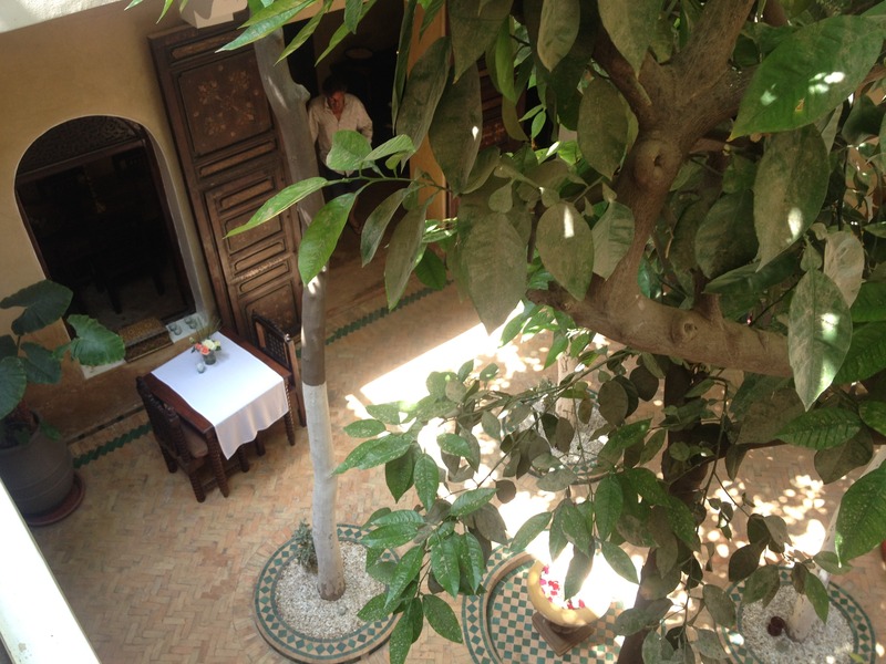 Riad Dama - Genel
