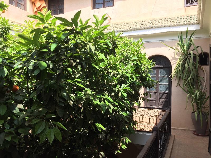 Riad Dama - Genel