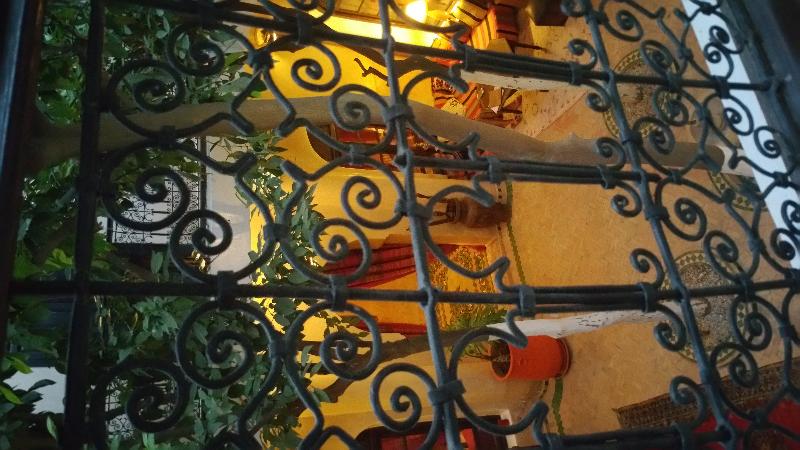 Riad Dama - Genel