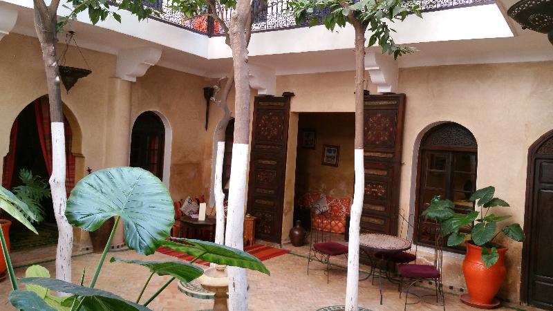 Riad Dama - Genel