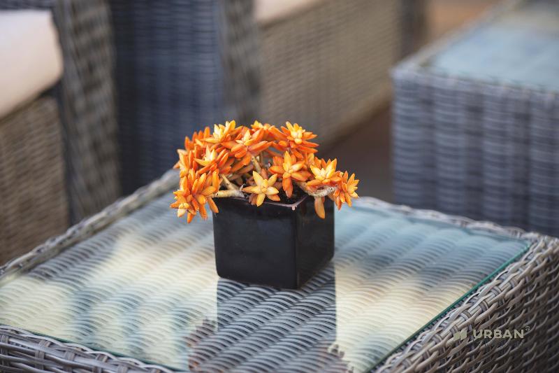 Urban Hotel Santa Eulália - Havuz